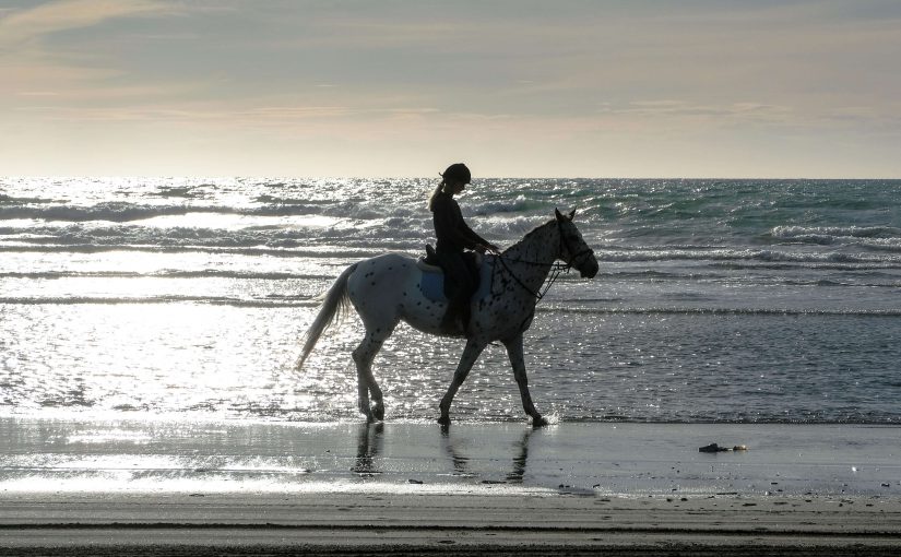 Try Horseback Riding Near Myrtle Beach, Murrells Inlet
