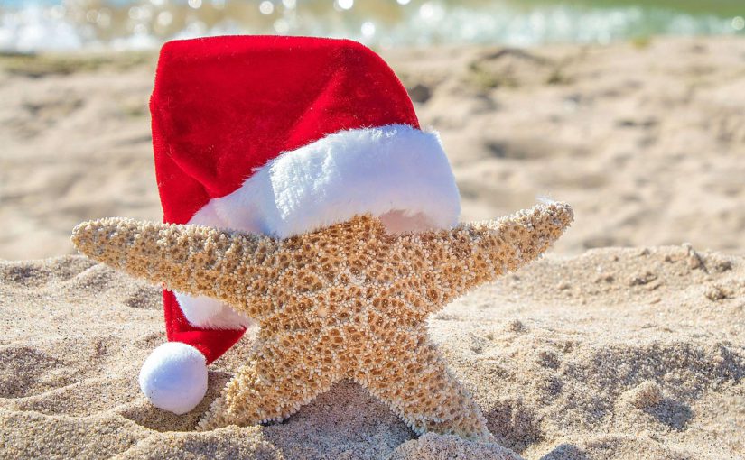 A starfish celebrating Myrtle Beach Christmas.